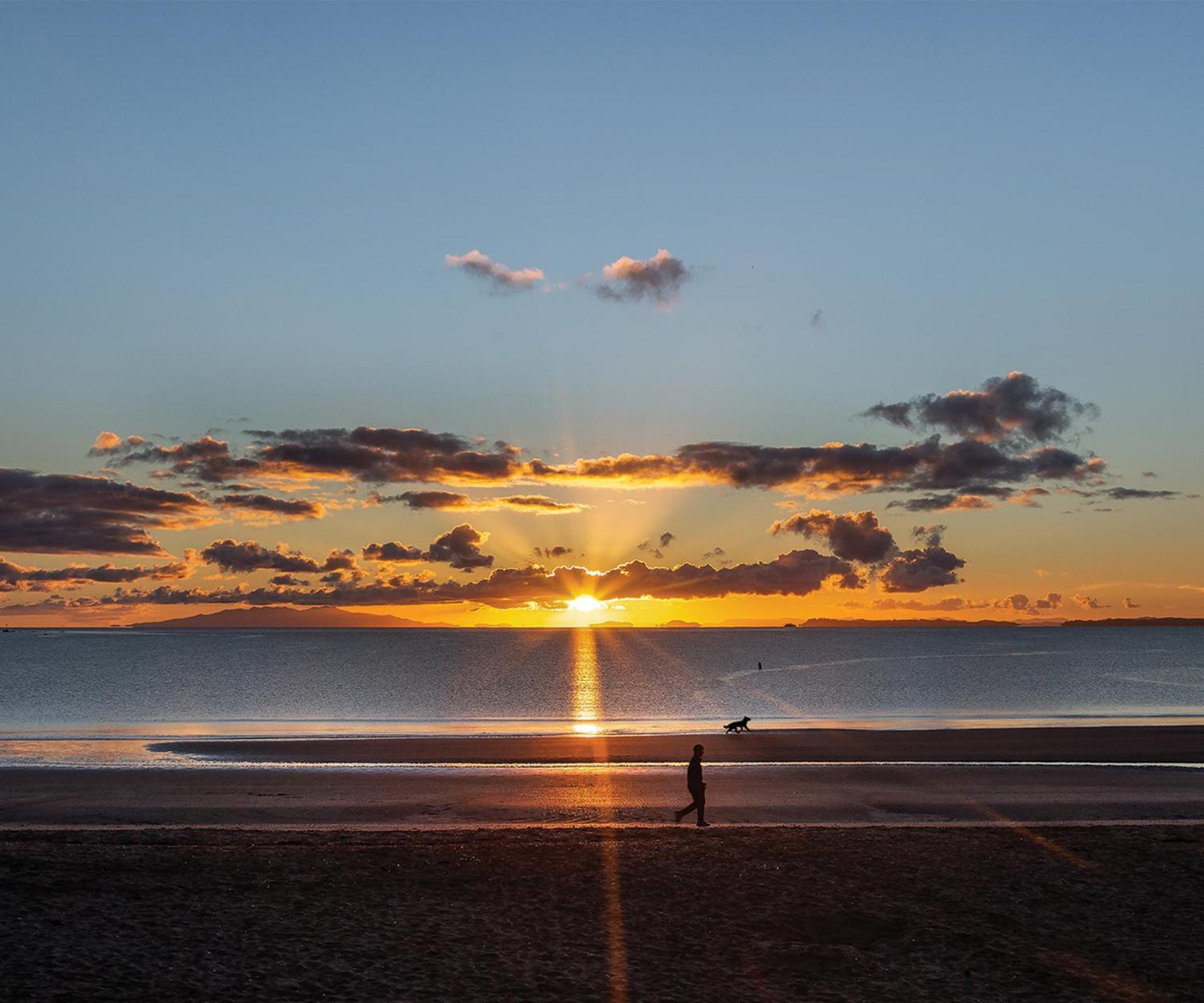 7Br 3Bh Beach Escape. 2 Min To Browns Bay Beach Auckland Exteriör bild